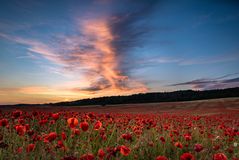 nach dem Sonnenuntergang