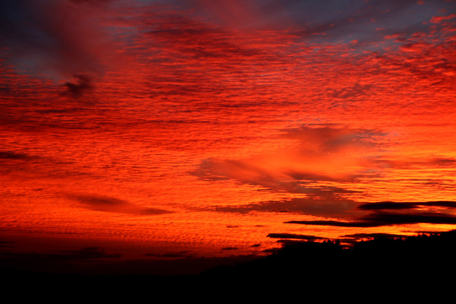 Nach dem spätherbstlichen Sonnenuntergang 2