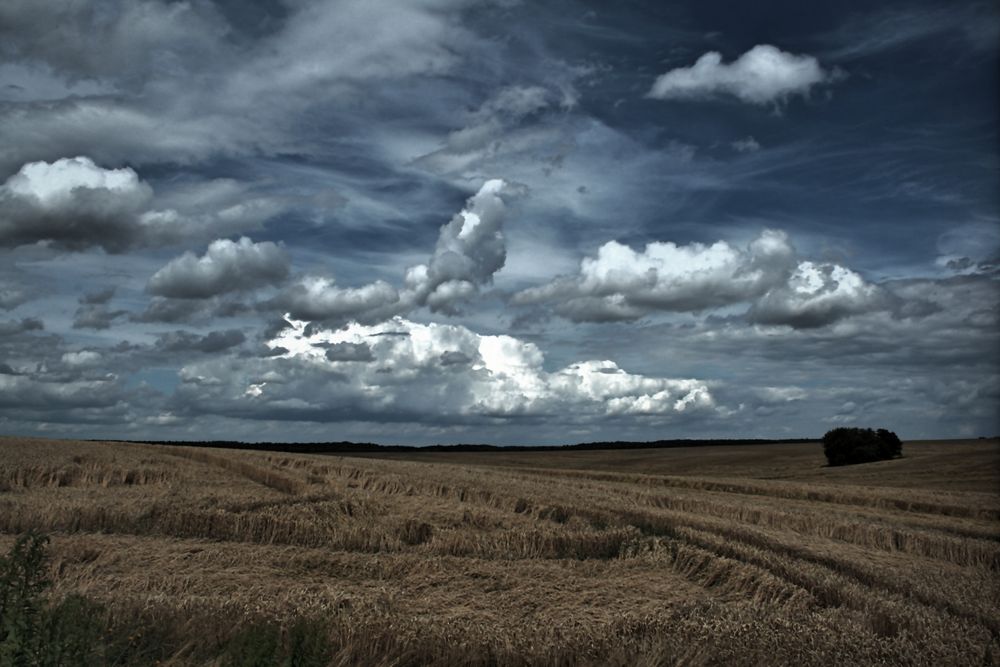 Nach dem Sturm 01