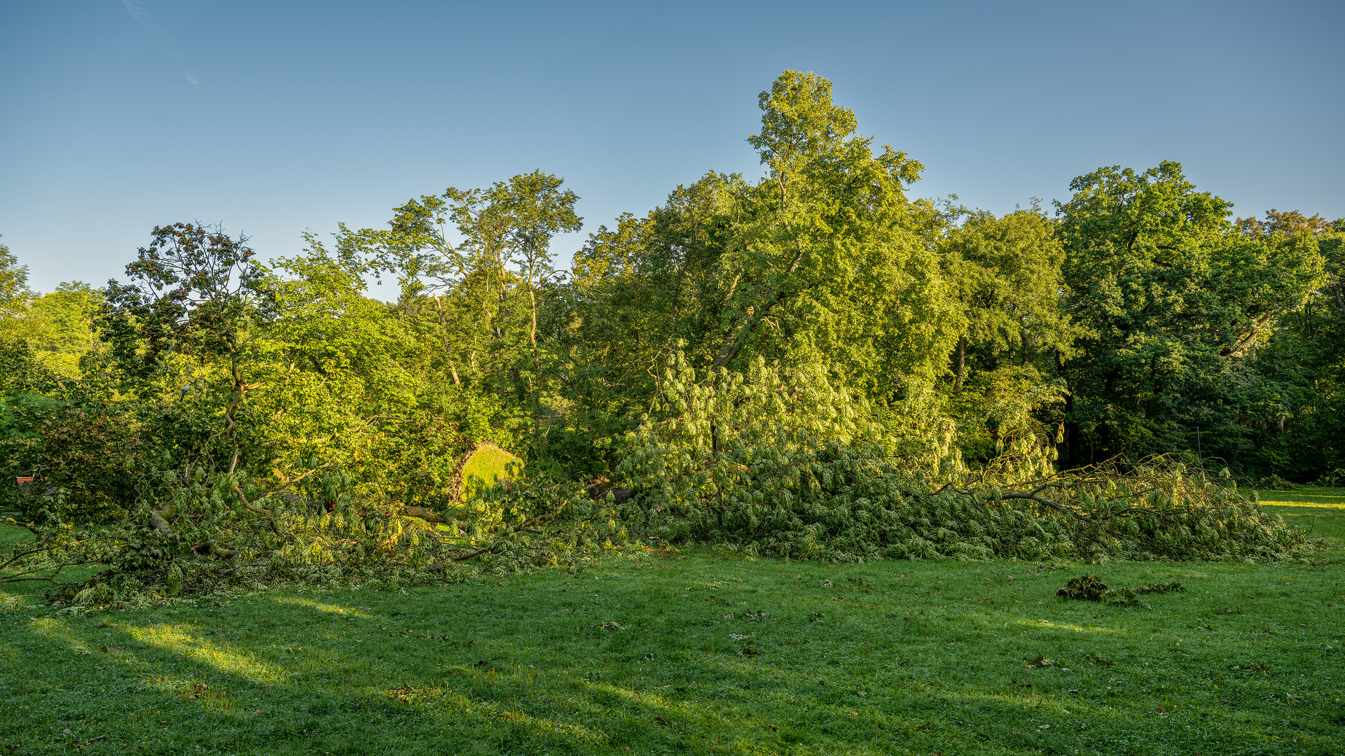 Nach dem Sturm 01