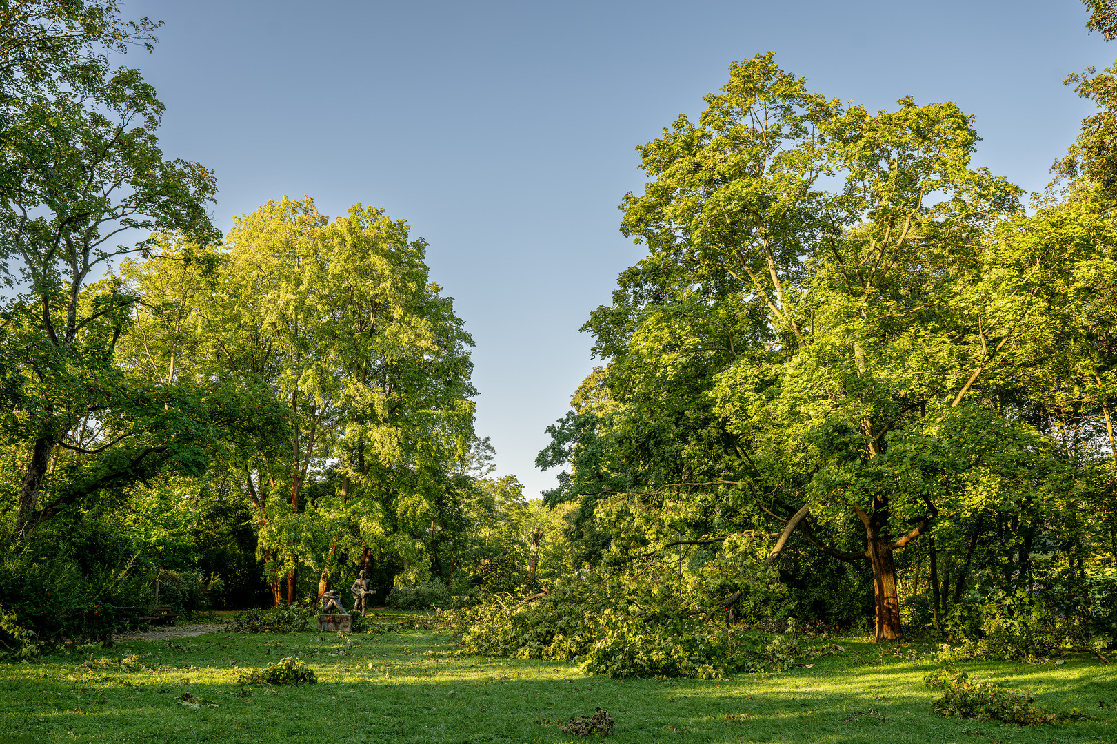 Nach dem Sturm 02