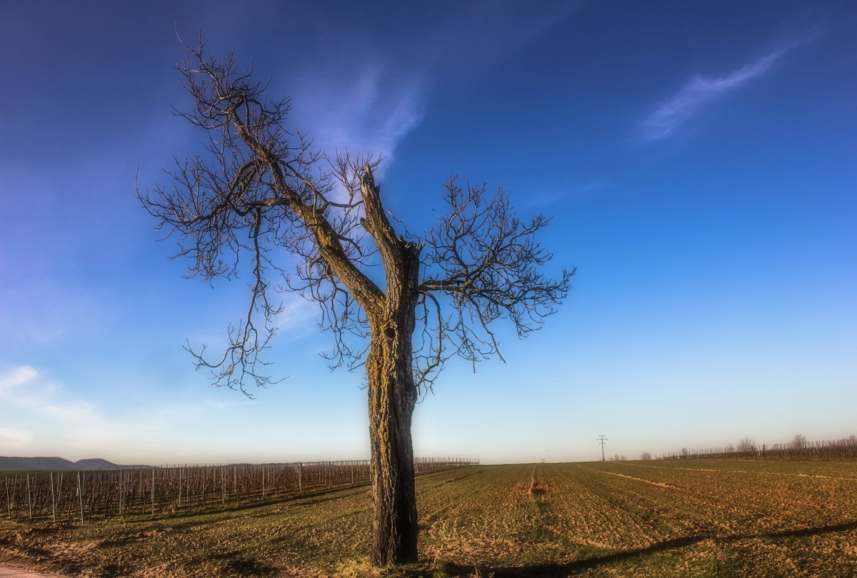 Nach dem Sturm...