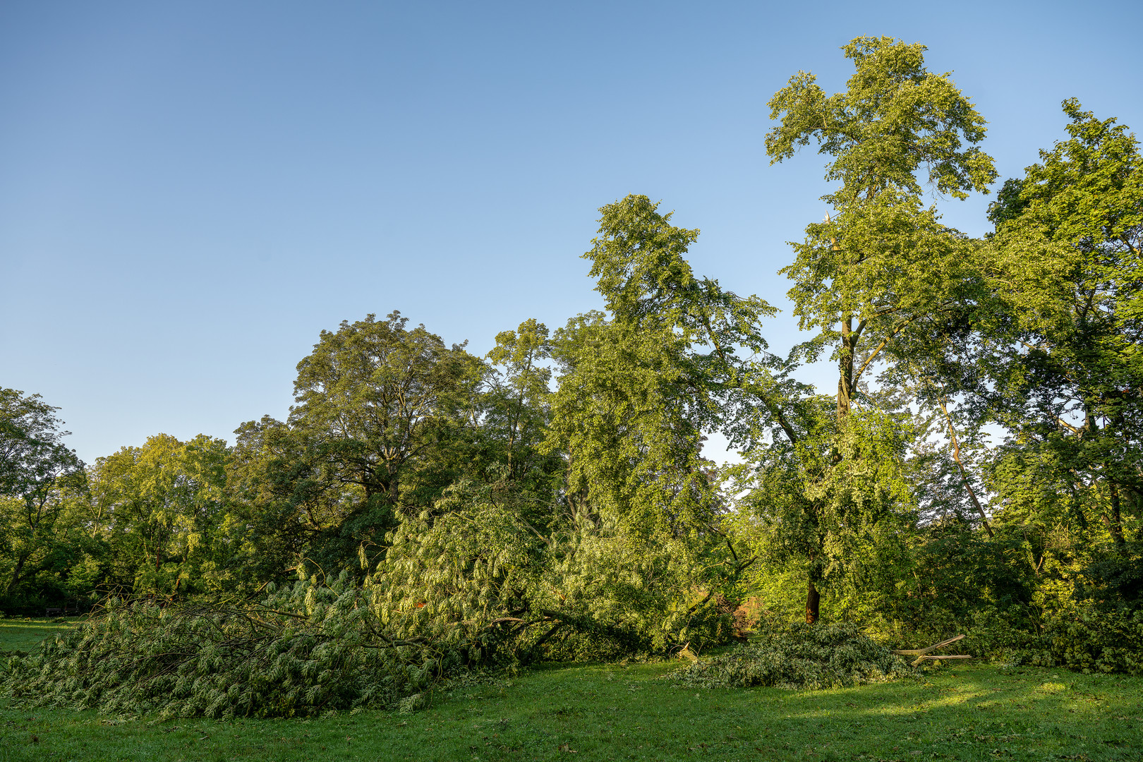 Nach dem Sturm 08