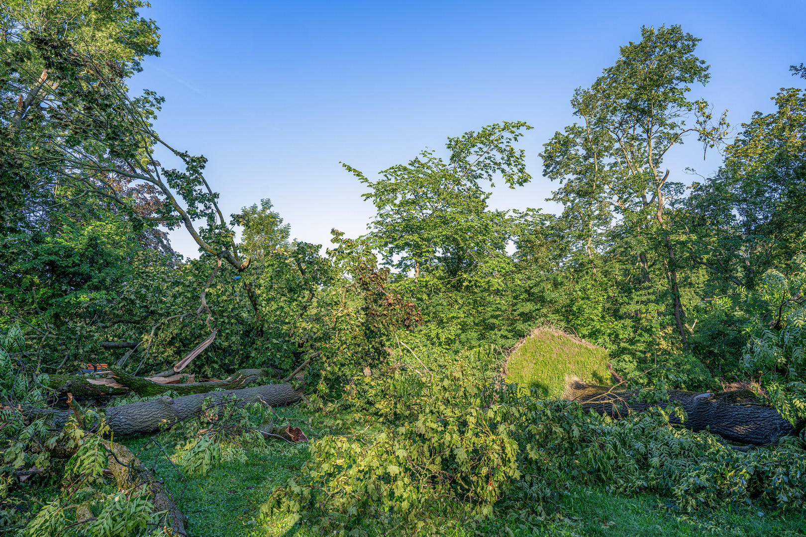 Nach dem Sturm 09