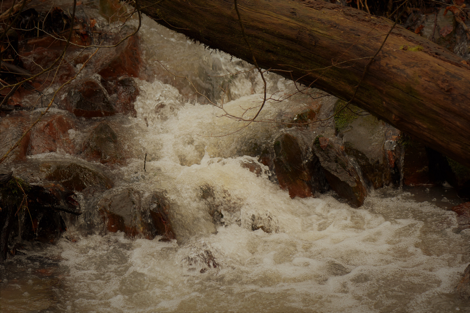 Nach dem Sturm .......