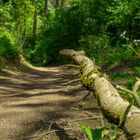 nach dem Sturm