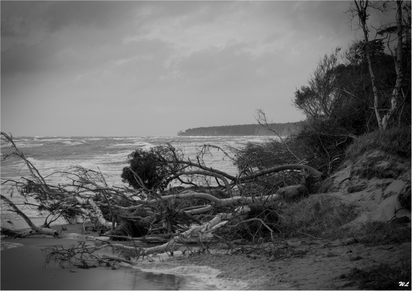 Nach dem Sturm