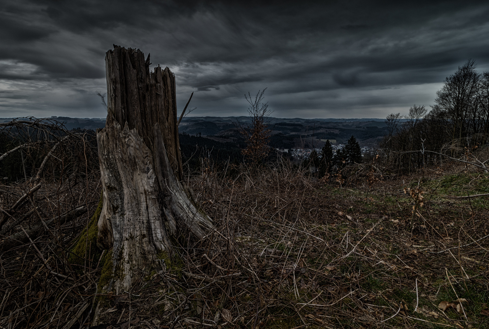 nach dem Sturm