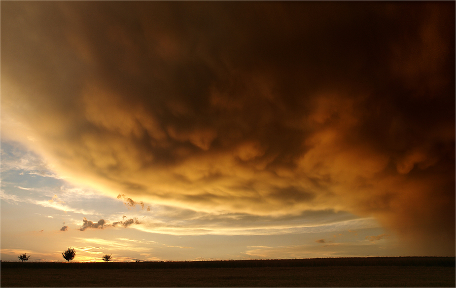 Nach dem Sturm ...