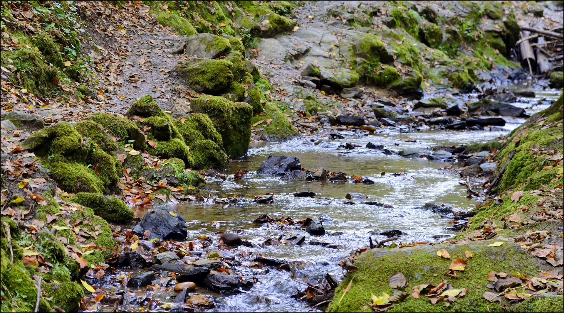 nach dem sturm 4