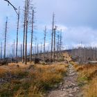 Nach dem Sturm