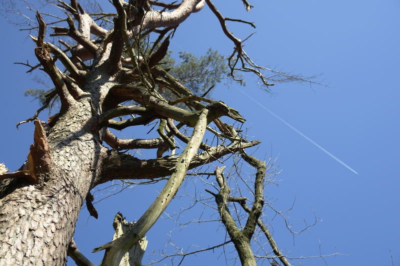 Nach dem Sturm