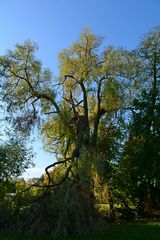 Nach dem Sturm