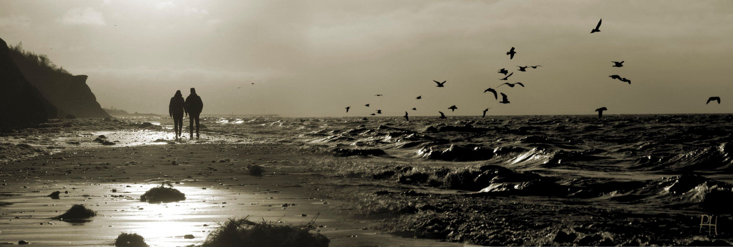 nach dem Sturm... Foto & Bild deutschland, europe, mecklenburg