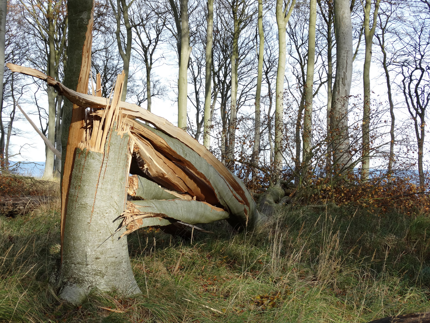 Nach dem Sturm