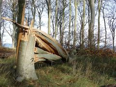 Nach dem Sturm