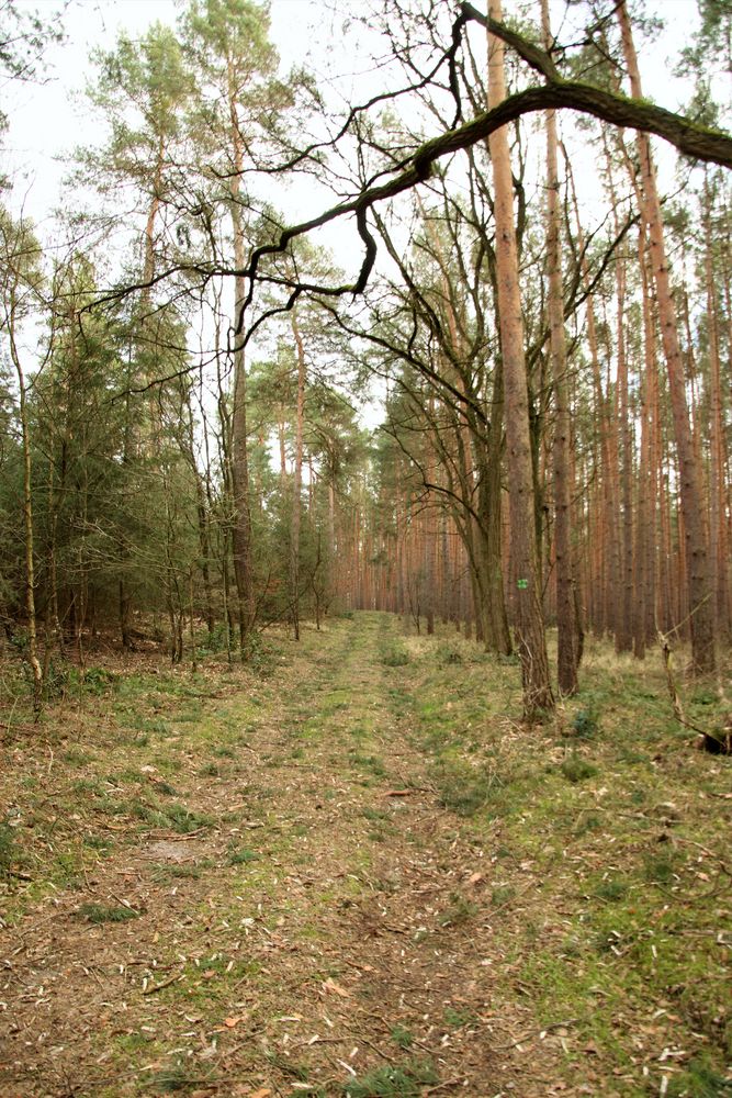 Nach dem Sturm