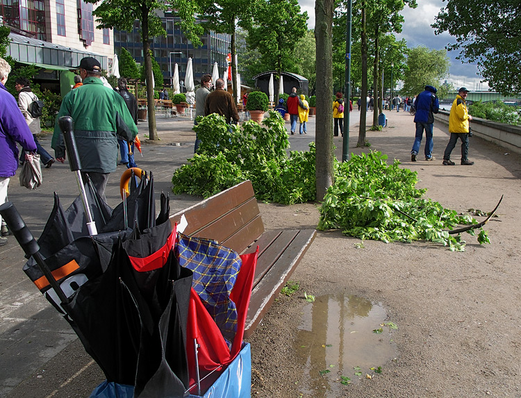 Nach dem Sturm ...