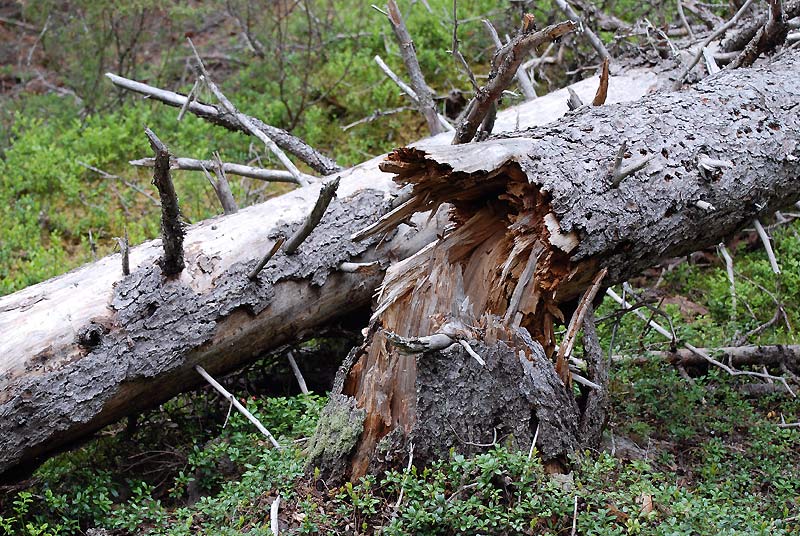 Nach dem Sturm