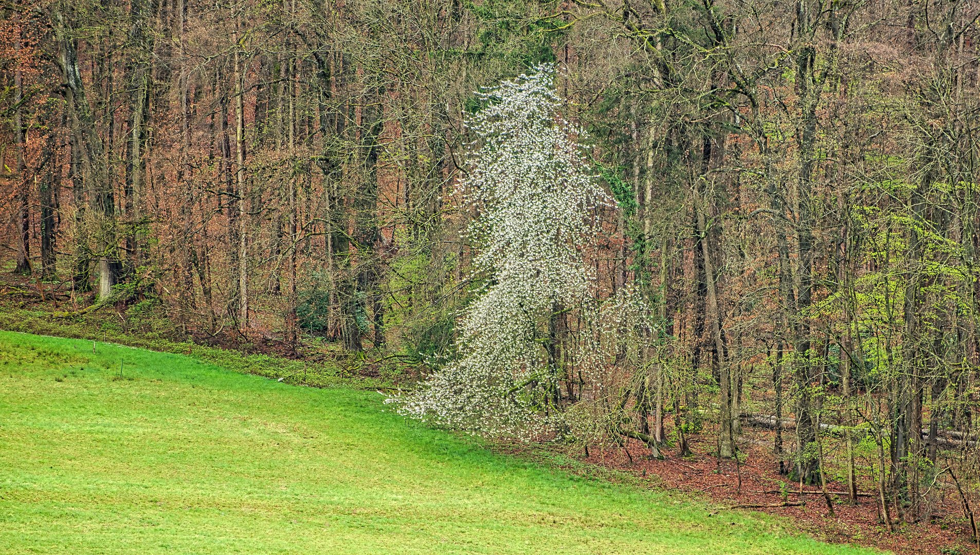 Nach dem Sturm