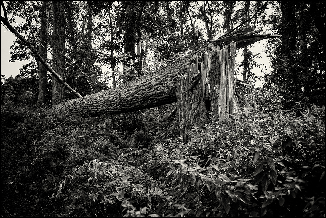 Nach dem Sturm