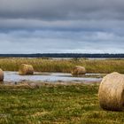 NACH DEM STURM