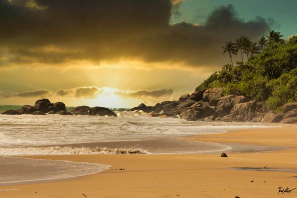 Nach dem Sturm / After the storm