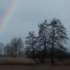 Nach dem Sturm am Reinheimer Teich