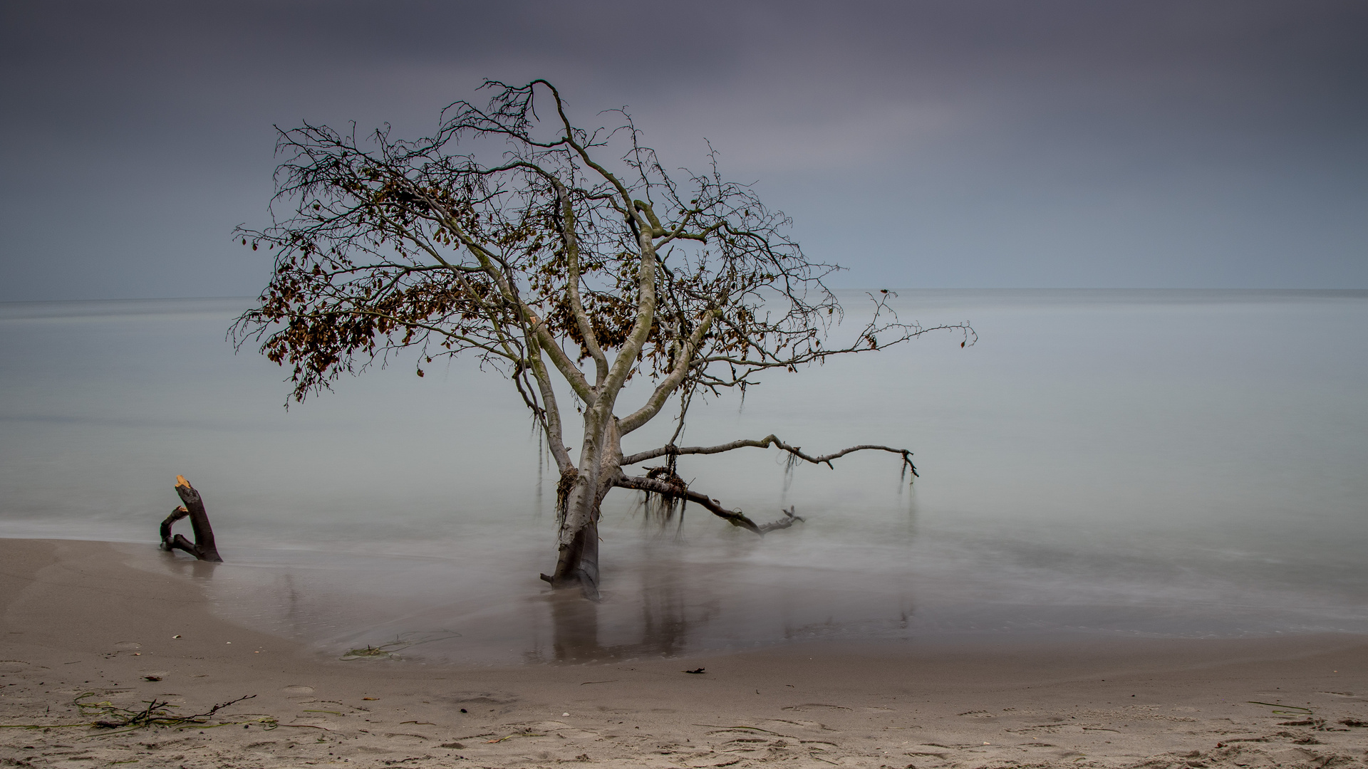 Nach dem Sturm am Weststrand