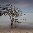 Nach dem Sturm am Weststrand