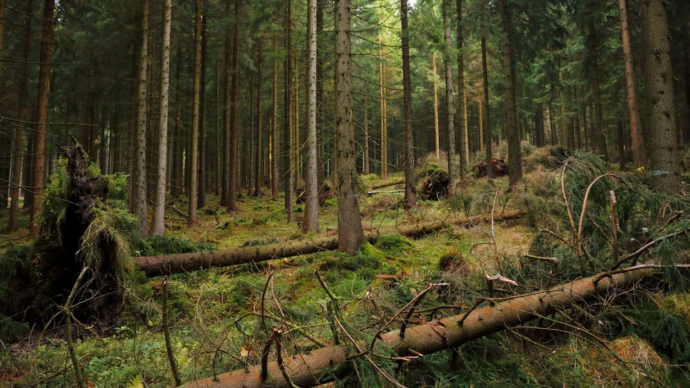 Nach dem Sturm...