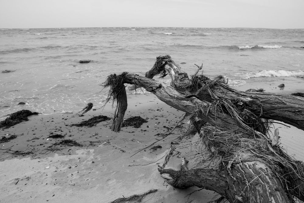 Nach dem Sturm