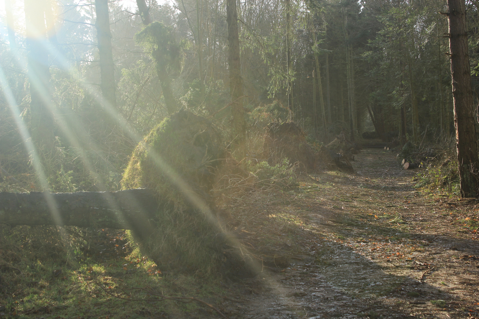 Nach dem Sturm