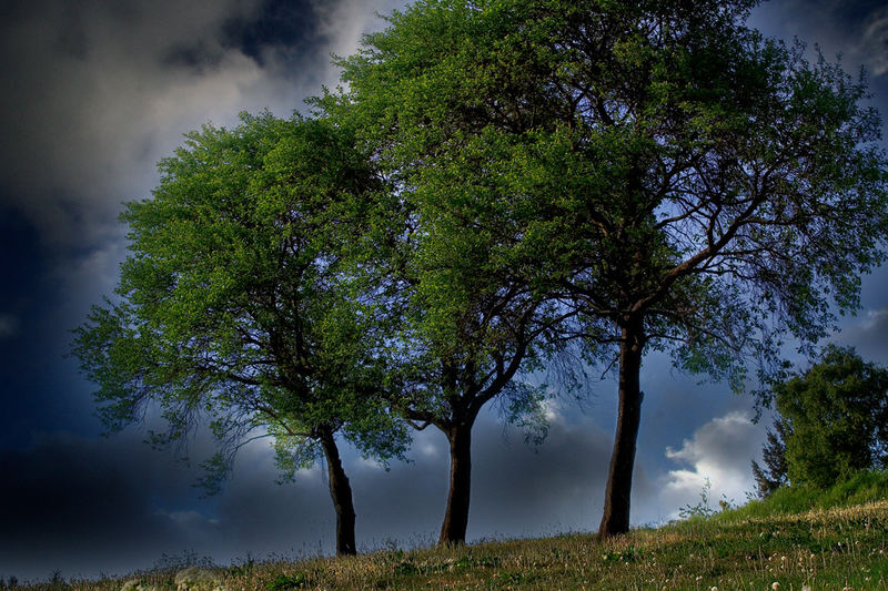 nach dem Sturm