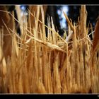 Nach dem Sturm