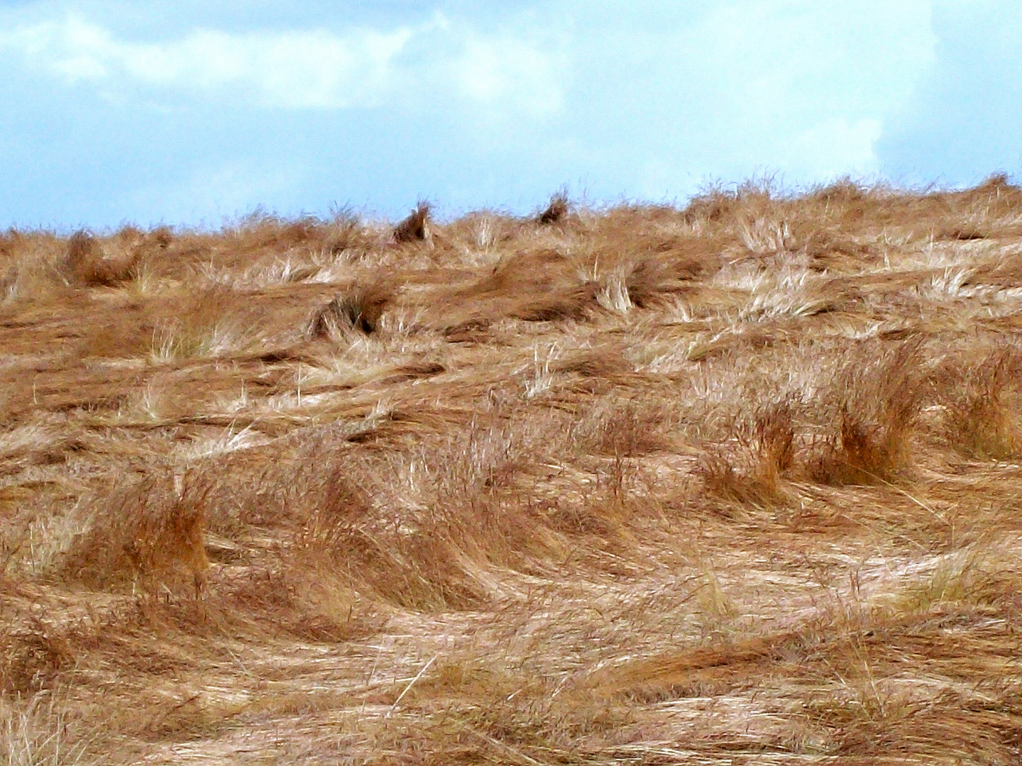 ...nach dem Sturm