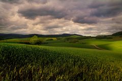 nach dem Sturm