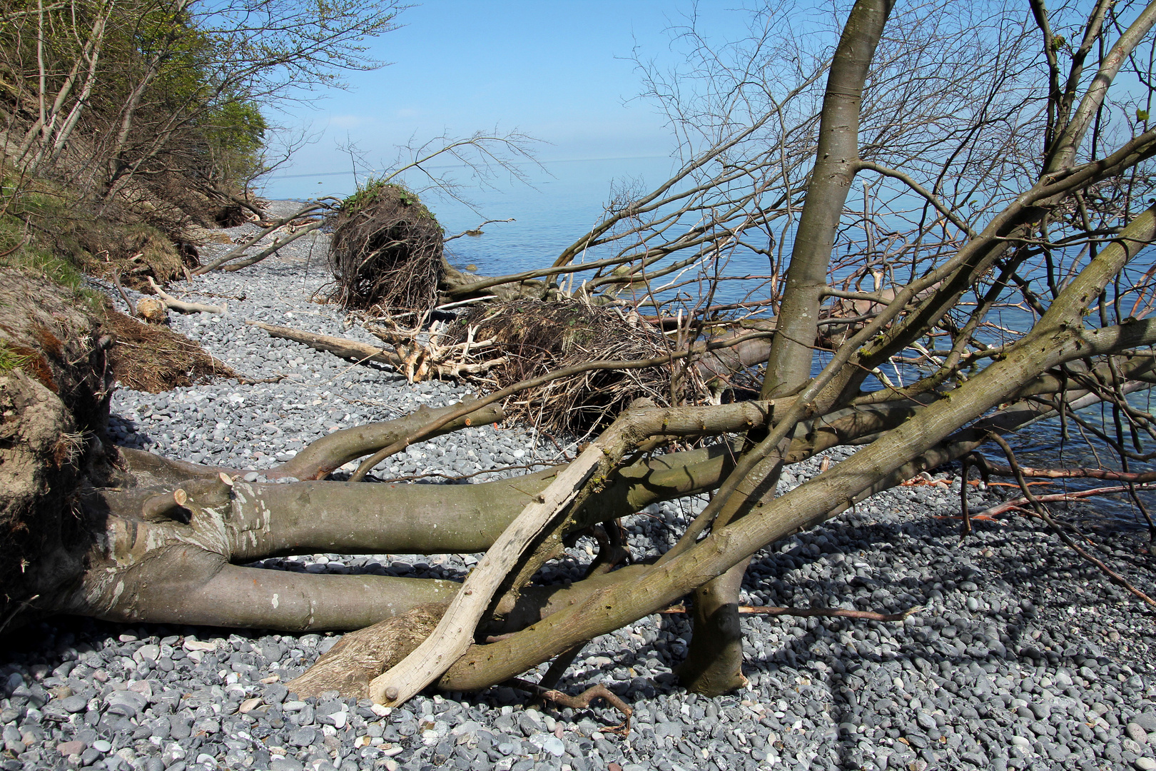 Nach dem Sturm