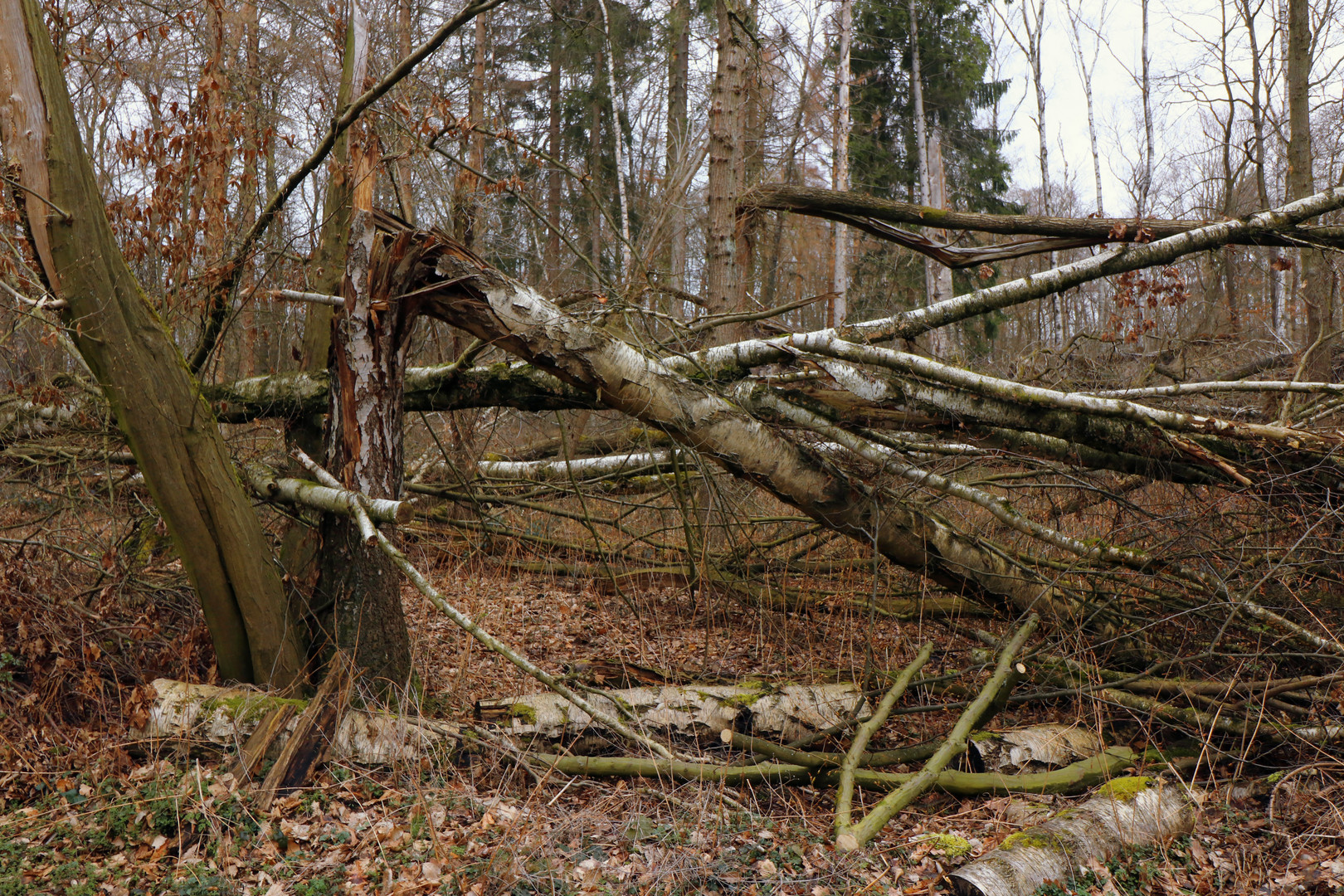 Nach dem Sturm