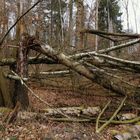 Nach dem Sturm