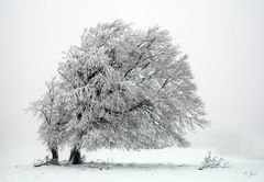 nach dem sturm