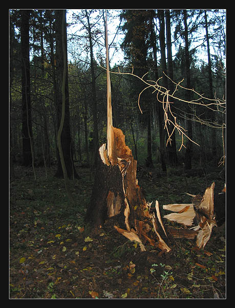 Nach dem Sturm