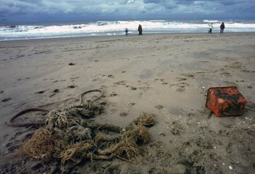 Nach dem Sturm