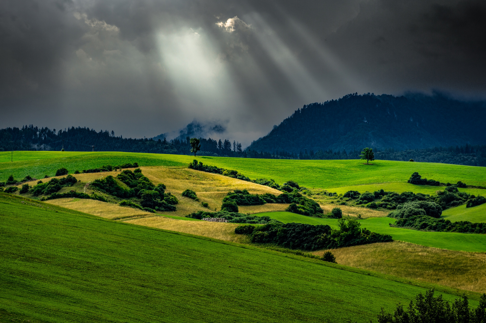 Nach dem Sturm