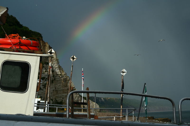 Nach dem Sturm ....