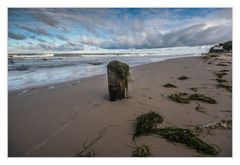 Nach dem Sturm I