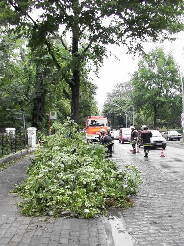 Nach dem Sturm II