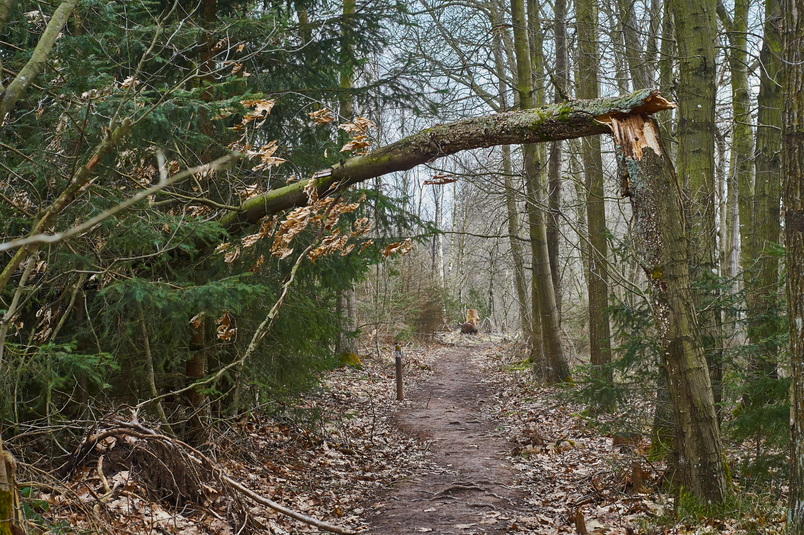 Nach dem Sturm ist vor dem Sturm.