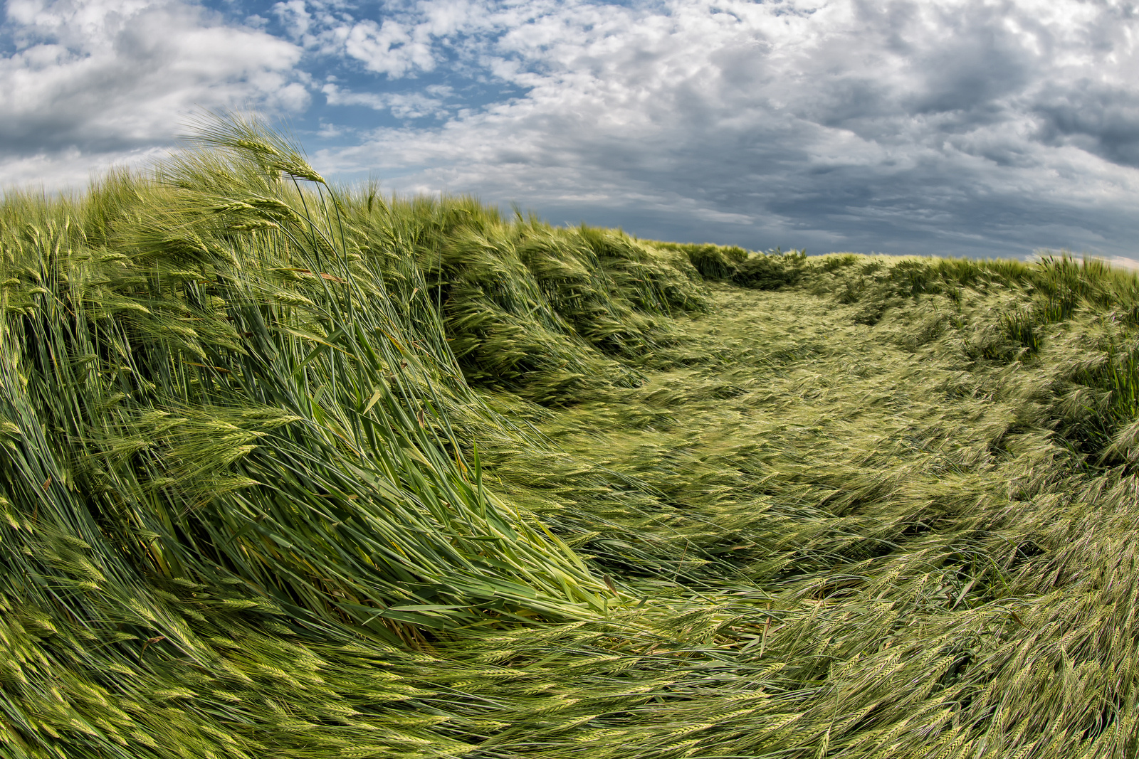 nach dem Sturm ist vor dem Sturm