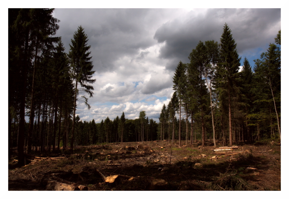 Nach dem Sturm ist vor dem Sturm